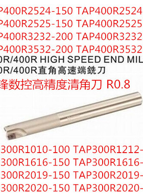SKIF直角铣刀杆TAP300R400R-1616 2020 2525 2524 3232-200 250
