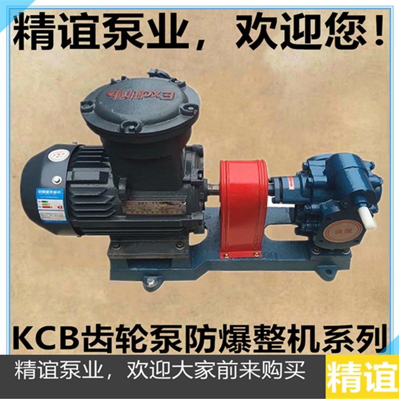 高温电动齿轮泵KCB135铜齿轮泵防爆齿轮泵自吸泵重油泵柴油泵整机,童鞋/婴儿鞋/亲子鞋,其他鞋配件,淘宝优惠券,粉丝福利购,淘宝优惠卷