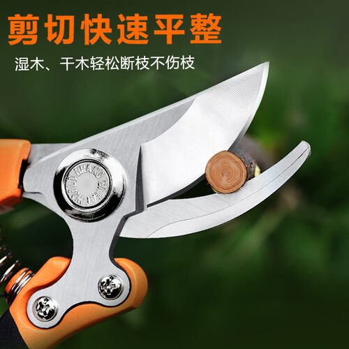 修剪树枝剪刀剪果树枝条修枝剪修花专用神器家用园艺花卉剪子省力