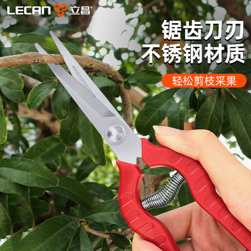 园艺剪刀葡萄专用剪刀采摘花椒专用神器修花剪刀修枝剪果树采果剪