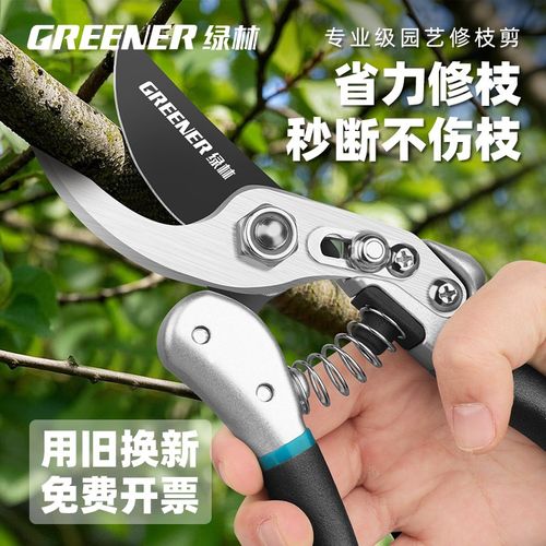 绿林专用果枝剪果树剪刀修枝园艺园林花艺剪子修花剪银甲德国工艺