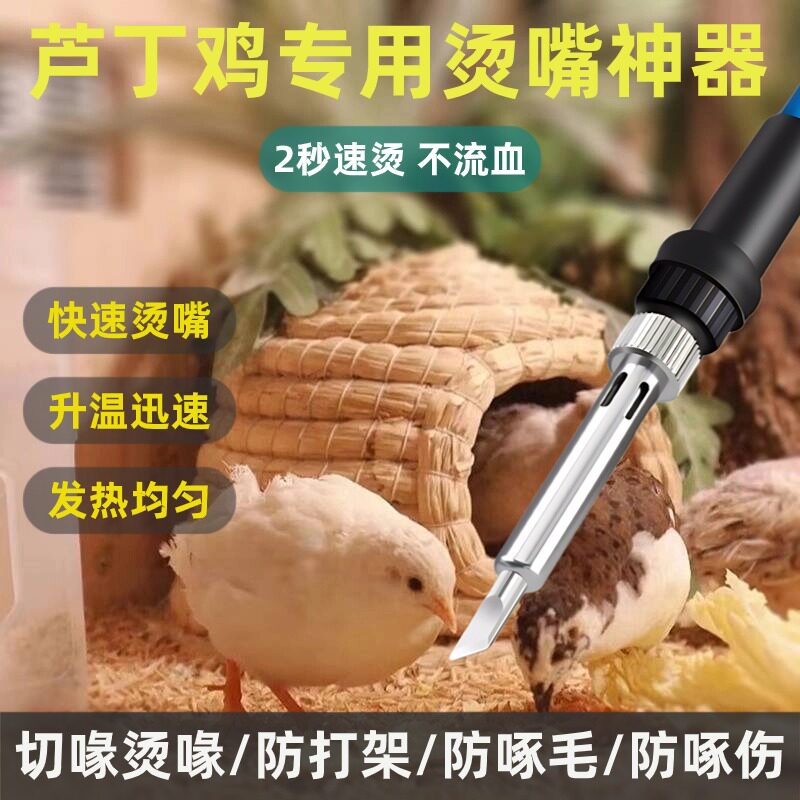 芦丁鸡烫专用电烙铁小鸡防啄伤打架恒温烫嘴工具啄毛烫喙烫嘴神器