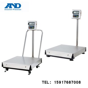 K原装 300KiEPA 600KiEPA 进口 K;HV 日本AND防爆计量系统