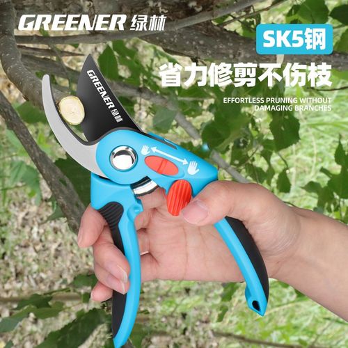 绿林家用园艺修枝剪刀剪树枝SK5专用剪刀果树花剪盆栽省力园林剪