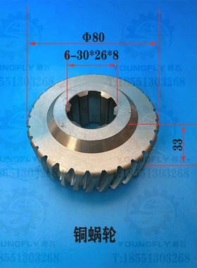 兰州星火CW6163D CW6180D车床溜板箱30齿铜蜗轮 蜗杆