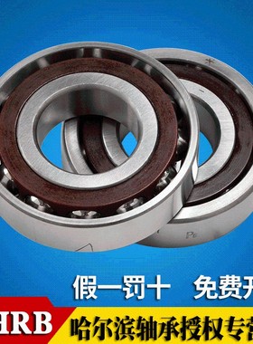 HRB哈尔滨轴承7319 BTN AC P5 DBB角接触球轴承配对轴承95*200*45