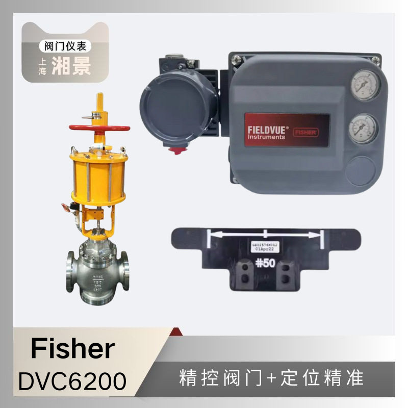 Fisher 定位器磁条 费希尔DVC6200 SIS/DVC2000 智能阀门定位器