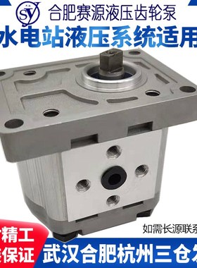 CBW-F306-CFB齿轮油泵合肥赛源水电站液压长源CBF CBT CBQ CBN310