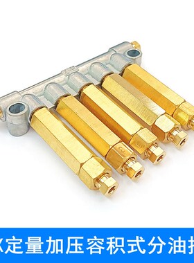 BF/DK/DX/AF/BFG容积式分配器加压式稀油油脂分油器206485/206486