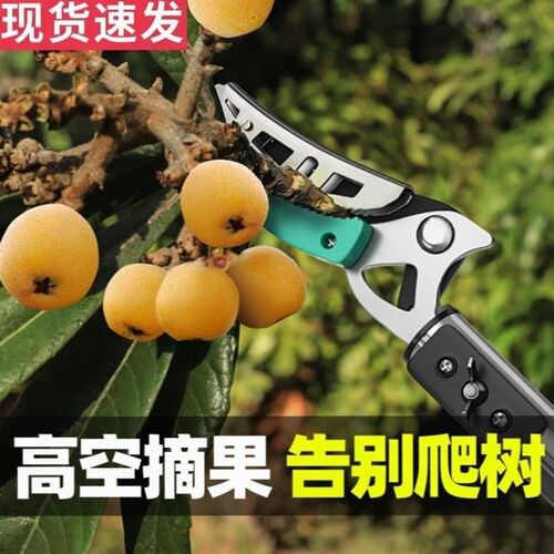 厂价直销摘果器伸缩杆枇杷荔枝采摘器高枝剪高空修枝剪摘果器剪刀