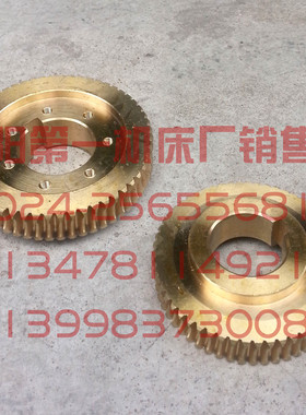 沈阳数控机床 ECA6140 EL6140 SLD102-4  原厂精诚刀架蜗轮