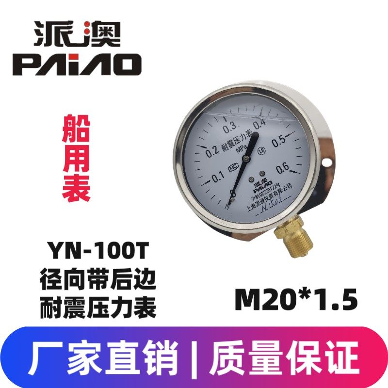 派澳仪表YN100T  0.6MPa径向带后边 耐震压力表 抗震船用压力表