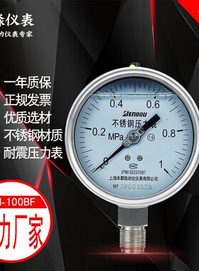 不锈钢耐震压力表YN-100BF0.4 0.6 1 1.6 2.5 4 6 10MPA 316材质