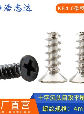 浩志达 M4十字沉头自攻平尾螺丝钉KB4*6-8-10-12-14-16镀镍/黑色