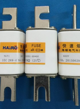 高品质 快速熔断器NGT1 660V 125A 快速熔断器