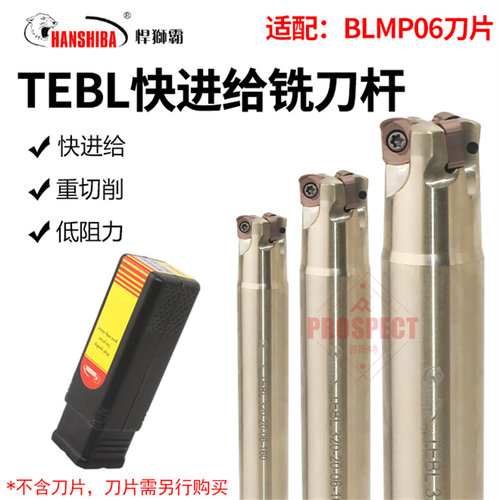 悍狮霸快进给铣刀杆TEBL高进给铣刀盘特固克通装双面铣刀片BLMP06