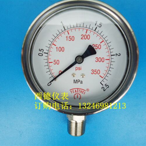 100MM直立式0-2.5MPA全不锈钢压力表,全钢耐高温,耐腐蚀压力表