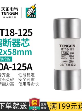 天正RT18-125熔断器RT14-63陶瓷保险丝100A RT19 RO17熔芯22*58MM