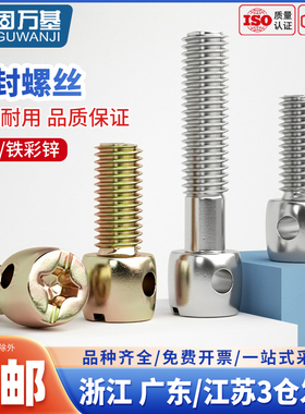 304不锈钢铅封螺丝镀锌电表螺丝钉十字带孔螺栓封表螺钉M3M4M5M6