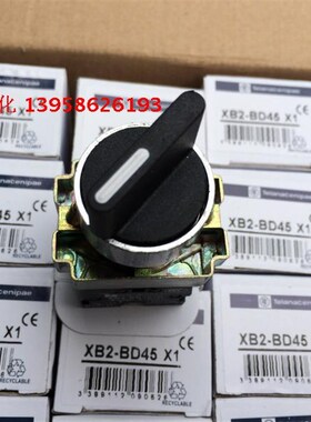 XB2-BD45 两档自复位转换开关 一开一闭 银点铜件高品质