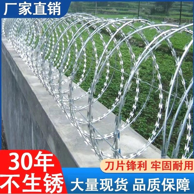 德国进口刀片刺绳防护网不锈钢刺丝滚笼刺网带刺铁丝防盗防爬刺围