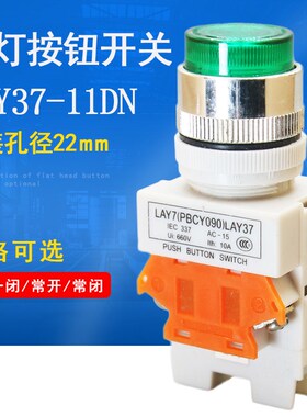 PBC LAY37 Y090-11DN启动停止自复位带灯按钮开关24V220V红绿22M