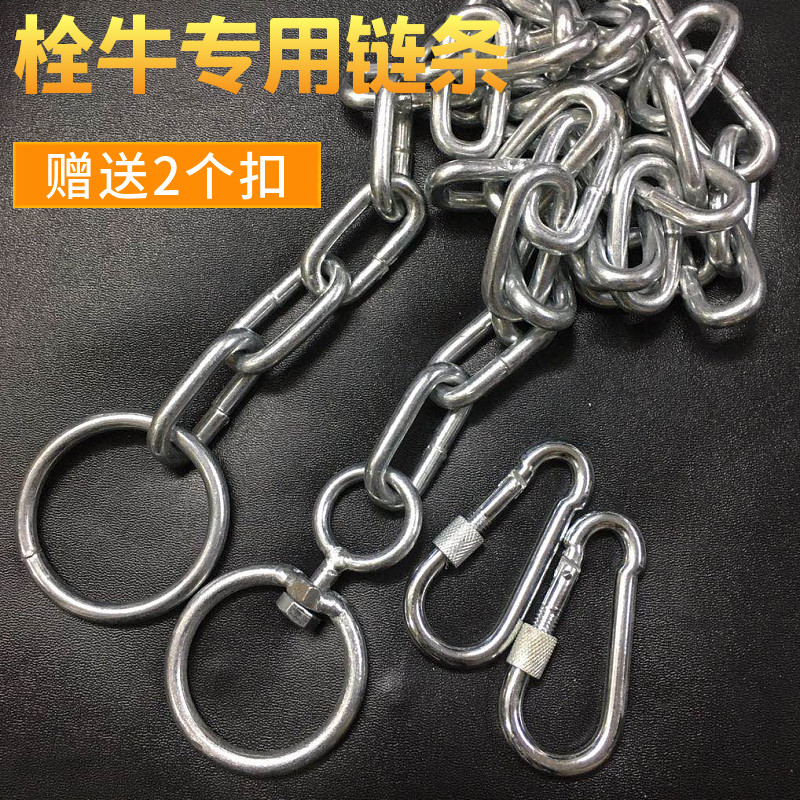 镀锌链条 铁链栓牛链条 狗链条狗莲子加粗养牛链子吊沙包链6mm8mm