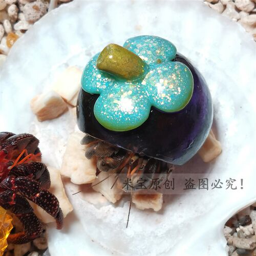 寄居蟹替换壳透明3d打印壳山竹草莓菠萝胡萝卜水果房子有机玻璃