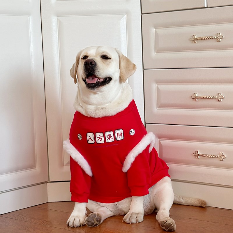 狗狗衣服大型犬新年保暖衣服龙年喜庆衣服拉布拉多金毛衣服秋冬