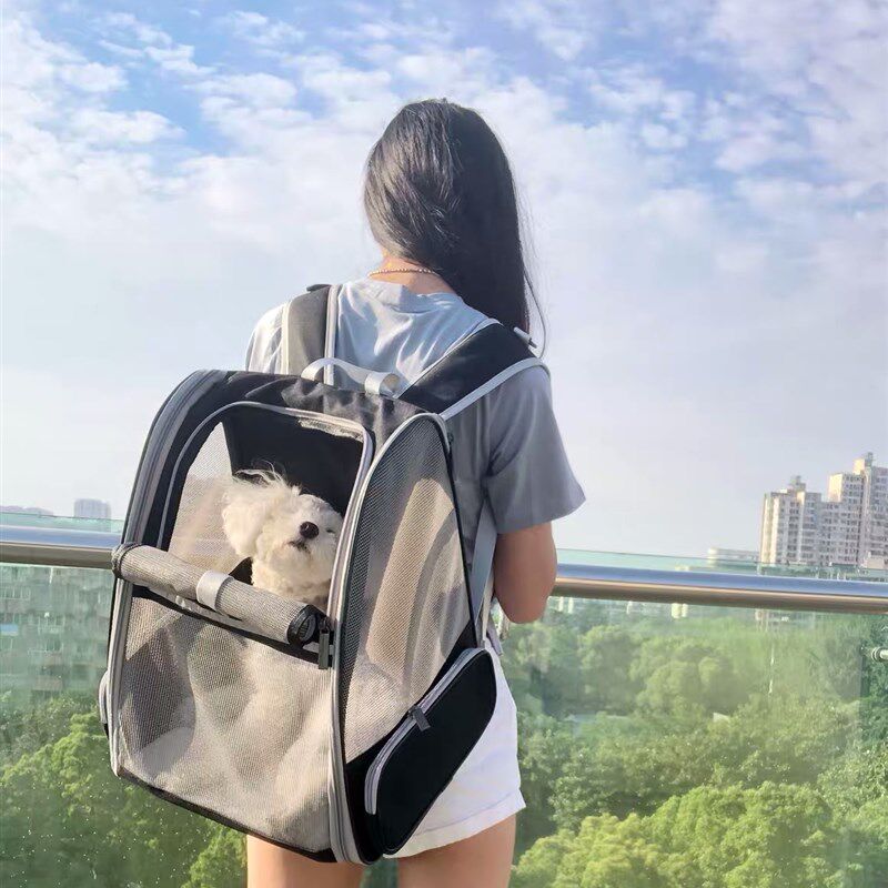 透气双肩猫包外出便携宠物包猫背包狗包猫咪书包狗狗携带包包轻便