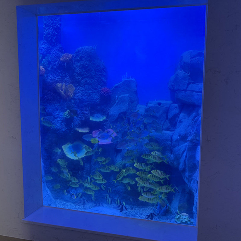 专业弧形圆柱g水族箱海水缸创意海洋生态缸来图订做定做压克力鱼