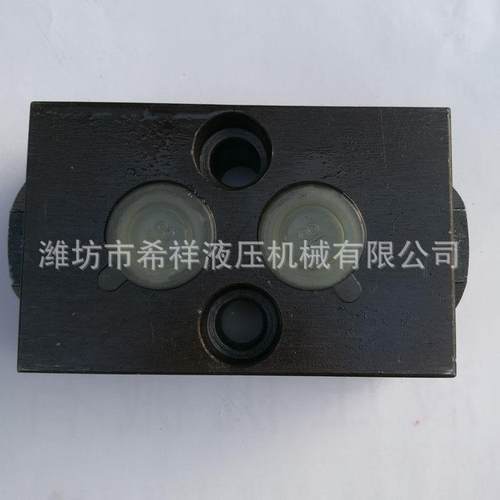 现货供应用于各种高压机械液压阀液压锁高压液压锁