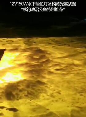 池沼公鱼水下诱鱼灯集灯1鱼2v24v220vled150W水下灯水底带灯鱿鱼