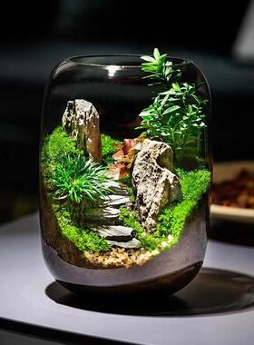 苔藓AL100378植物真景观生态缸创景意盆栽摆件植物微桌面观厂家发