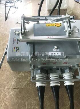 FZW2-12F/630A户外柱ZJF上高压真空智分界负荷开关1k8V能真空断0