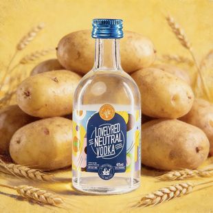 源头代工厂原味伏特加40%vol便利店调酒DIY小洋酒微醺 活动价