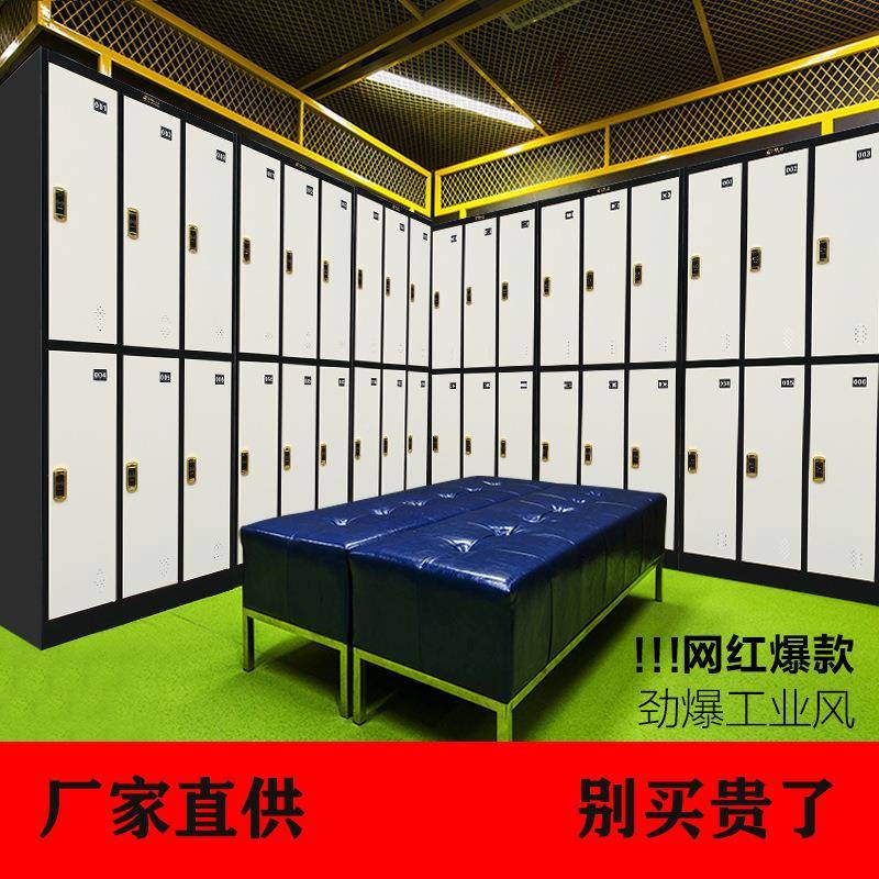 六门更衣柜员ZFLD-241九门储物柜身健换工衣柜铁皮多房门寄存柜存