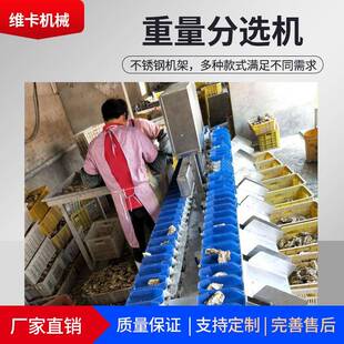 重现货全XGJ-05自动水果木瓜分选机量地瓜自分选机机动红薯重量分