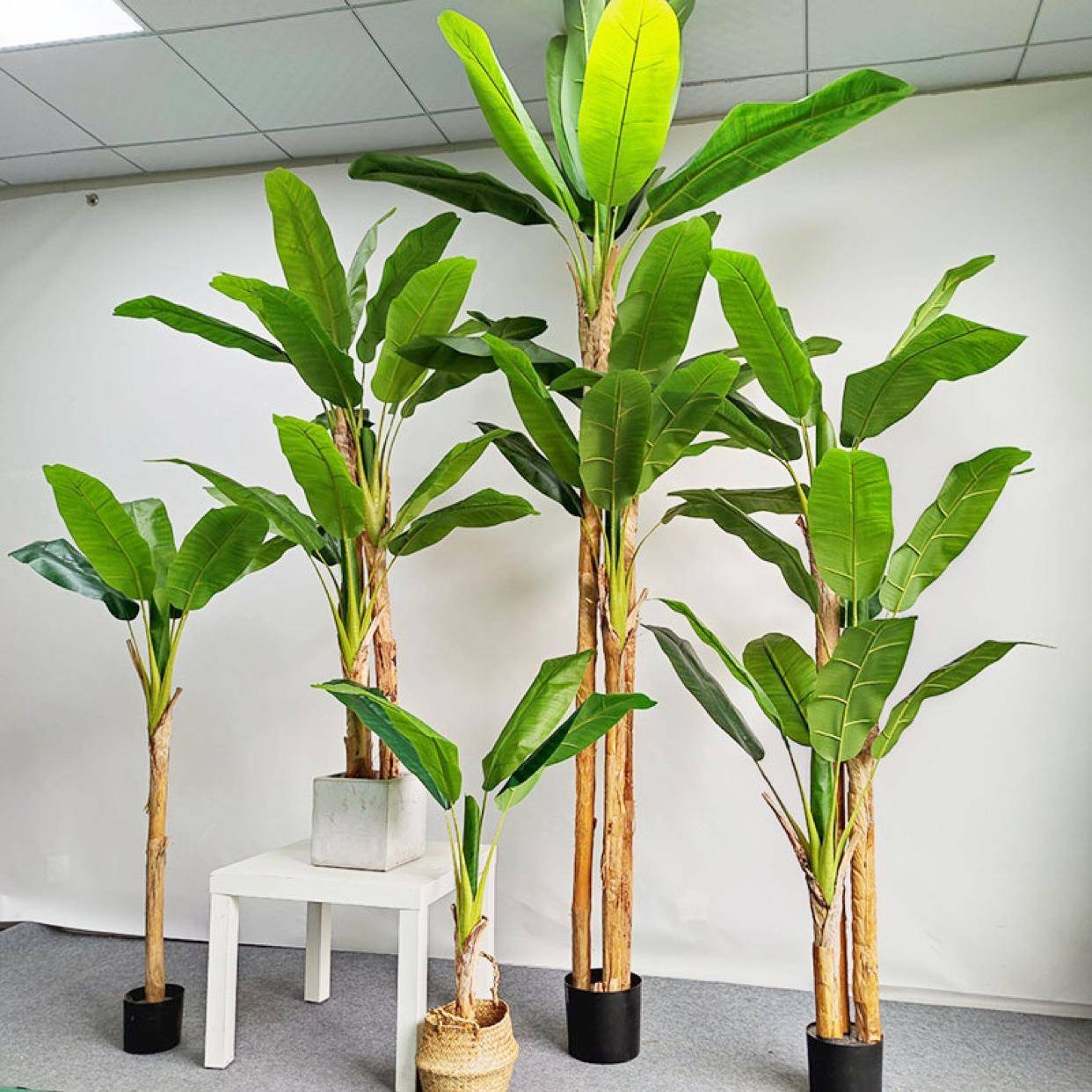 仿真植物芭树室内BJ-18745摆件大落型盆栽香蕉树软装地造景蕉假绿