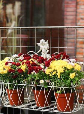 墙做旧面户05410院外铁艺花盆种架子花卉篮子庭装饰壁挂墙花园布