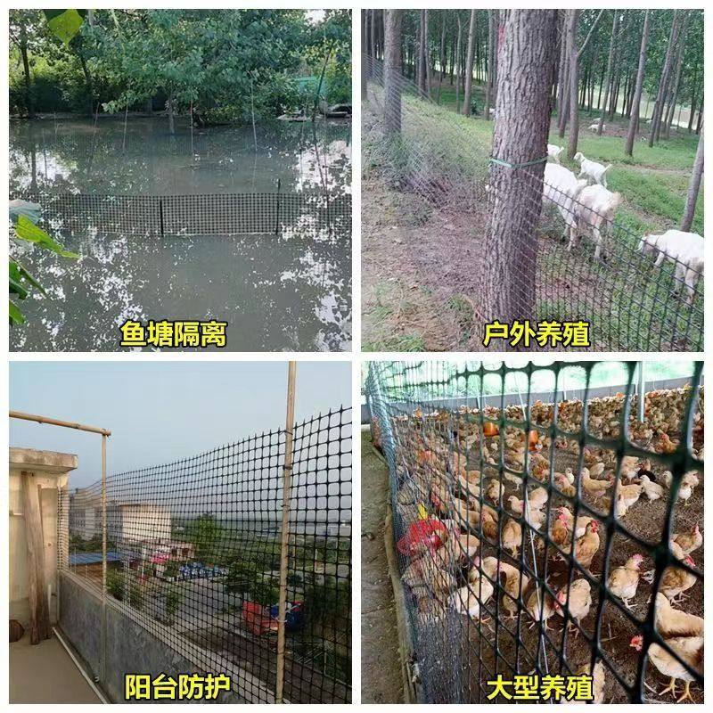 塑料网圈玉米网养鸡鸭圈地养殖围B栏网果园菜园土工格栅塑料围栏