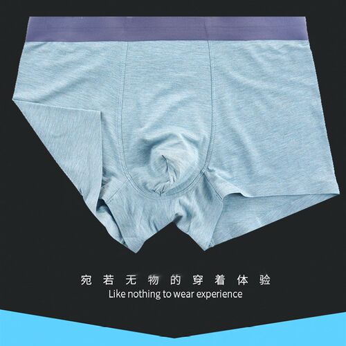 青少年内裤男士高中生透气E竹纤维薄款四平角裤头