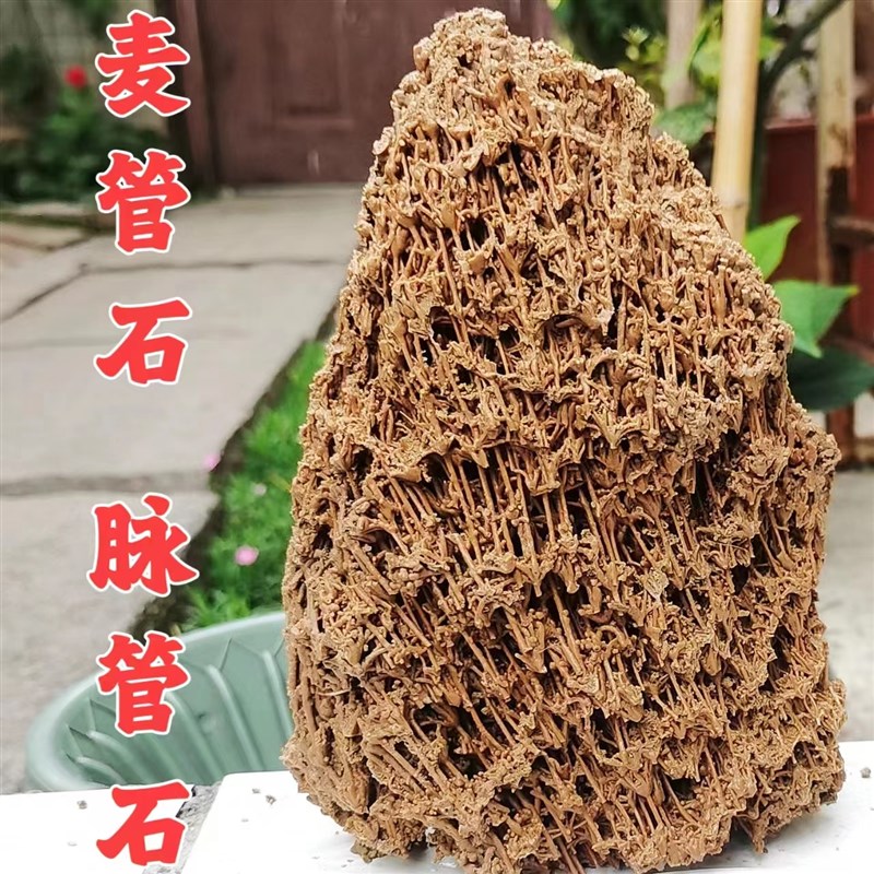 麦管石脉管石太行山吸水石上水石风水发财石水锈石水秀钟乳芦管石