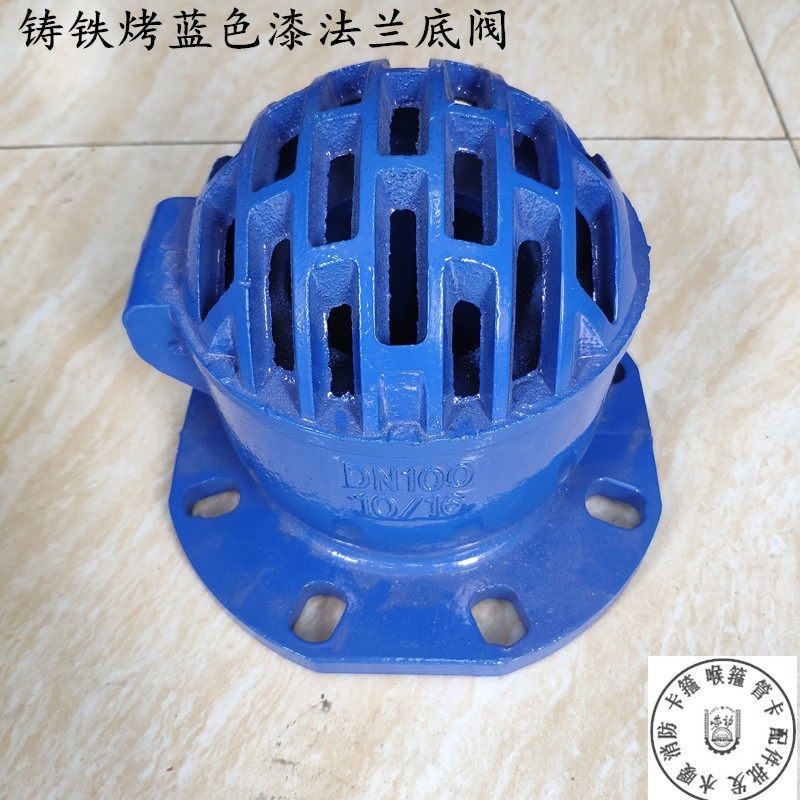 H42X10-16蓝色铸铁烤漆法兰底阀 止回阀单向阀 抽水泵吸水底阀