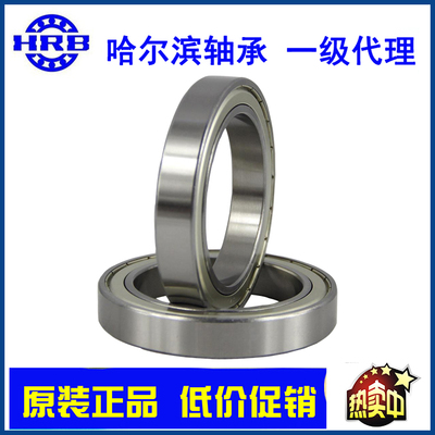 哈尔滨微型轴承 电机用691 692 693 694 695 696 697 698 699-2Z