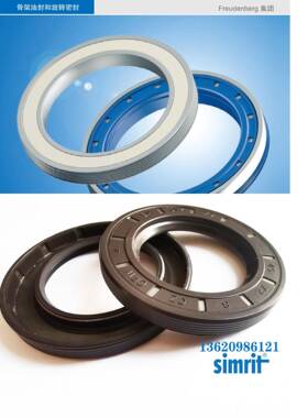 德国CWSimrit/FREUDNBEFERG油封WDYcFwBAUM76X7SLX135-170