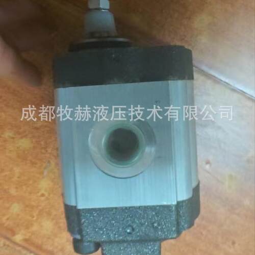 都赫01ZMBG421C0TBO1R罗茨双成向齿轮泵牧现货