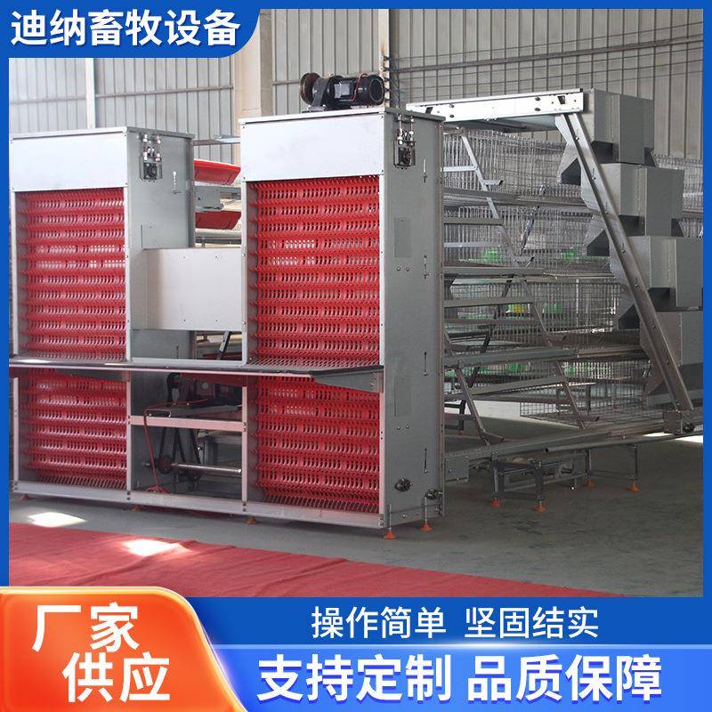 自动捡鸡蛋集蛋捡蛋机设备多层MSC叠自动化养鸡舍鸡全自动捡蛋蛋