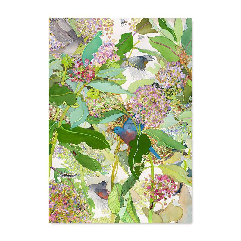 【捡漏合集】Joan Becker水彩画家复刻艺术版画花鸟植物装饰画芯