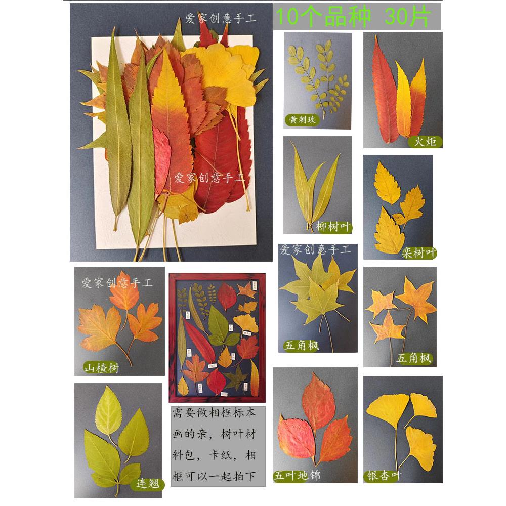 儿童手工制作diy真树叶粘贴画幼儿园教学干花滴胶植物标本材料包